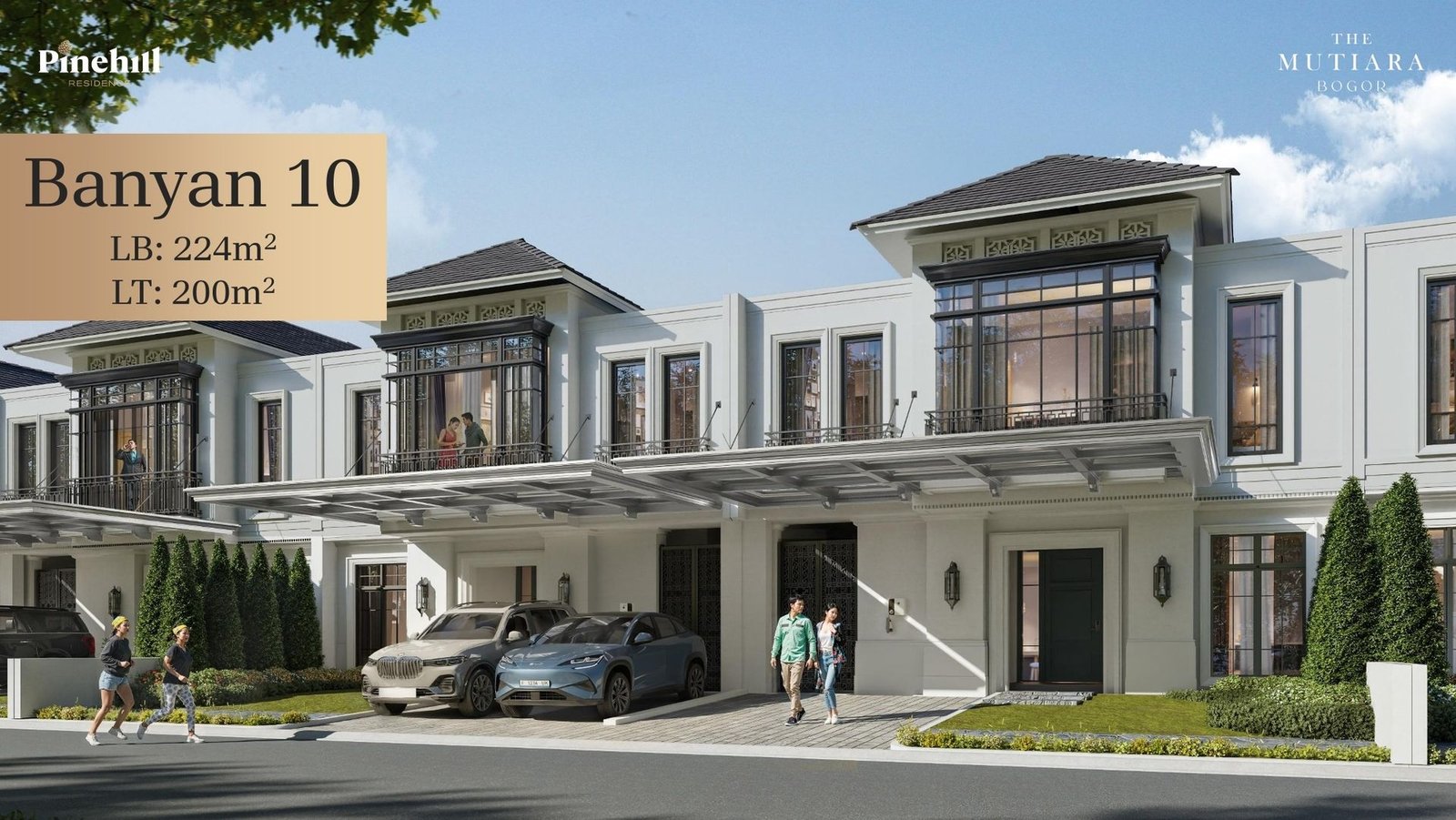 Banyan 10